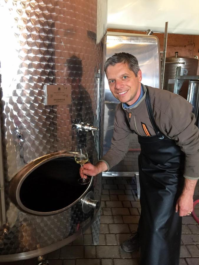 매링노비안드 Wohnen Auf Dem Weingut - Klein Und Fein - Wengertssube 아파트 외부 사진